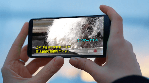 字幕ファイル情報の出力