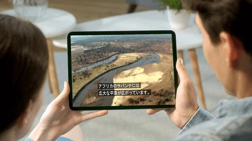 WebVTT/SRTの出力